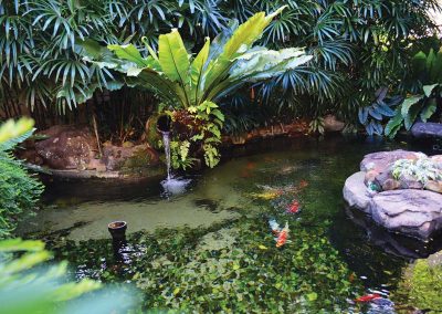 Fish Pond Contractor Malaysia